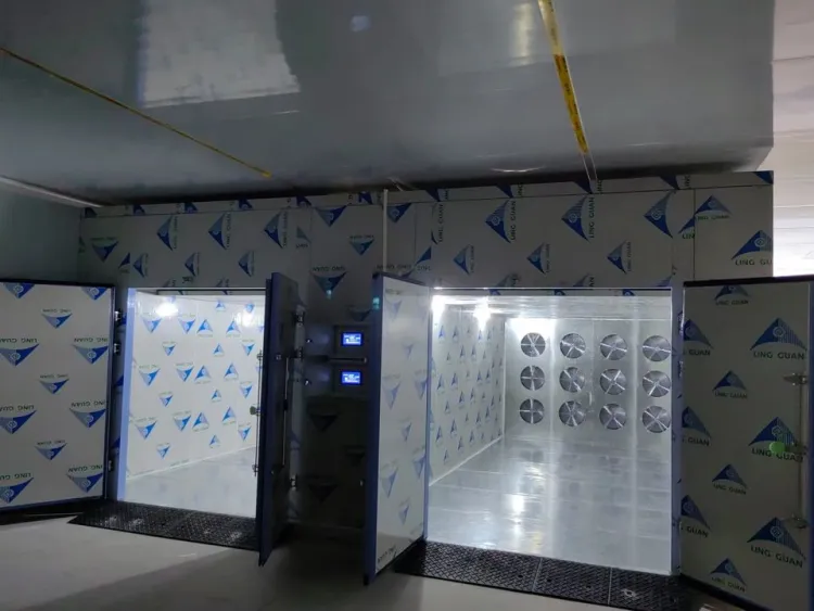 Commercial Energy Saving Heat Pump Automatic Mango Banana Raisin Fruit Drying Machine Professional Food — image 5