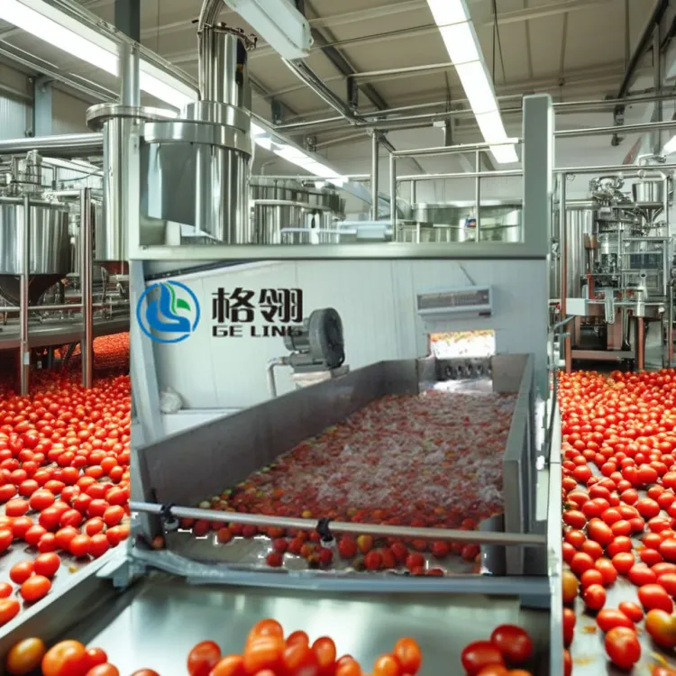 Customized Large Capacity Juice Processing Equipment Tomato Juice Paste Production Line — image 2