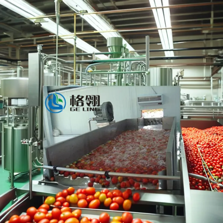 Customized Large Capacity Juice Processing Equipment Tomato Juice Paste Production Line — image 3