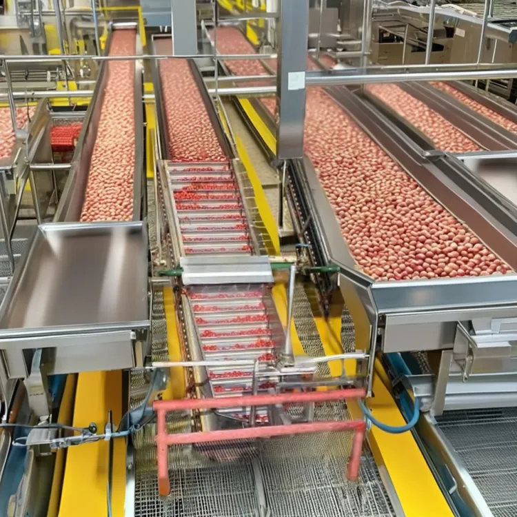 Customized Large Capacity Juice Processing Equipment Tomato Juice Paste Production Line — image 5