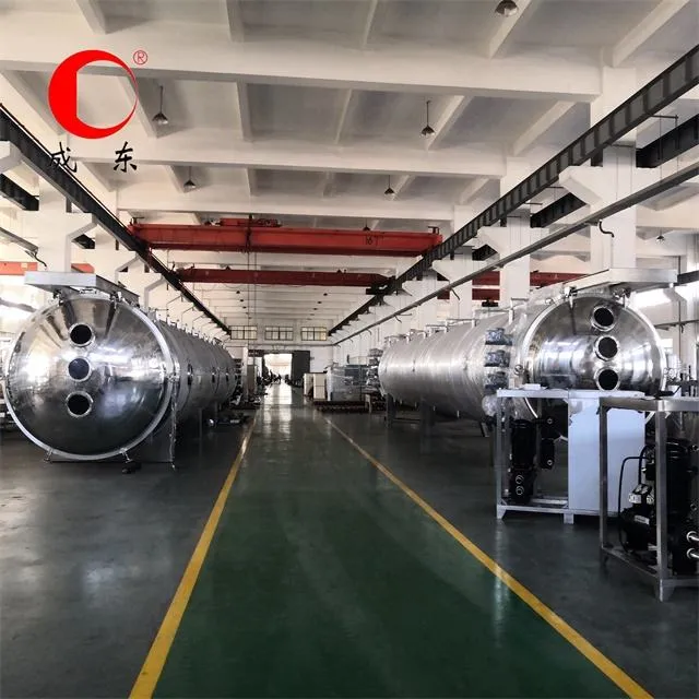 Stainless Steel Industrial Continuous Fruit Drying Machine — image 3