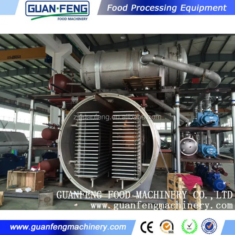 Electric Acai Berry Freeze Drying Machine Lyophilized Fruit Equipment with Plc for Food Application Dehydrator Machine — image 1