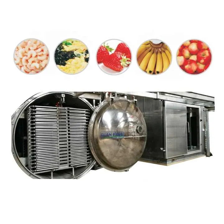 Electric Acai Berry Freeze Drying Machine Lyophilized Fruit Equipment with Plc for Food Application Dehydrator Machine — image 7