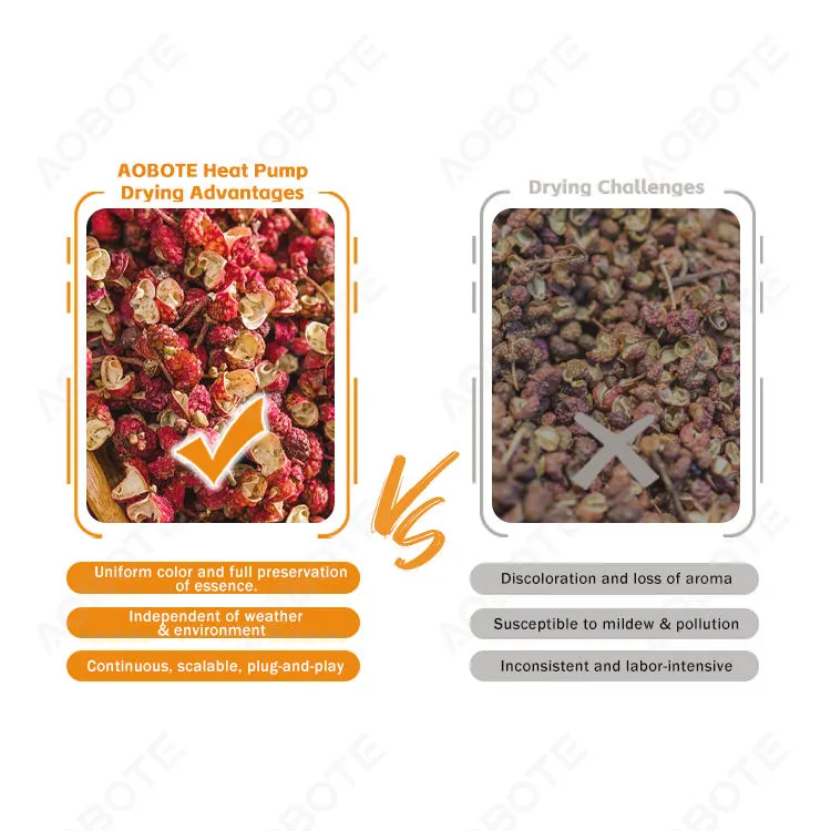 Eco-Friendly Drying Nuts Fruit Dehydrator Spice Dryer Coffee Drying Machine — image 3