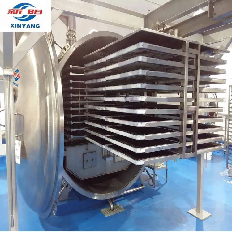 Fruit Vacuum Freeze Drying Machine / Vacuum Freeze Dryer / Industrial Dehydrator — image 4