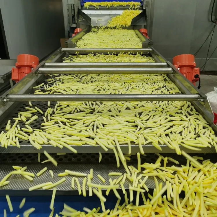 French Frozen Small Scale Crispy Fried Potato Chip Maker Fruit & Vegetable Production Line Fry Machine — image 3