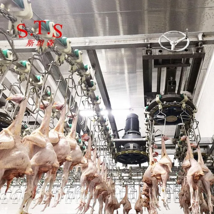 Customized Professional Chicken Feather Plucking Machine Chicken Slaughter Line Poultry Equipment — image 2