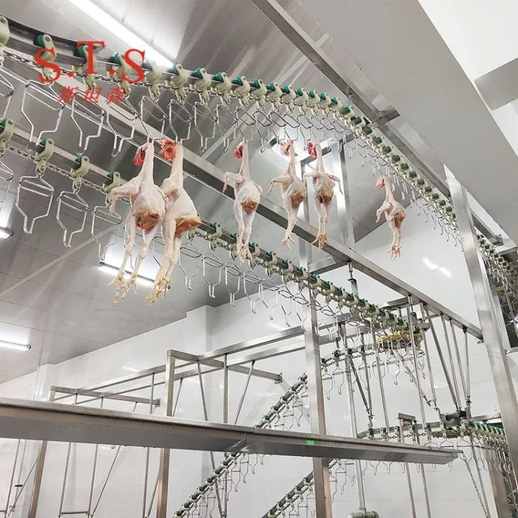 Customized Professional Chicken Feather Plucking Machine Chicken Slaughter Line Poultry Equipment — image 3