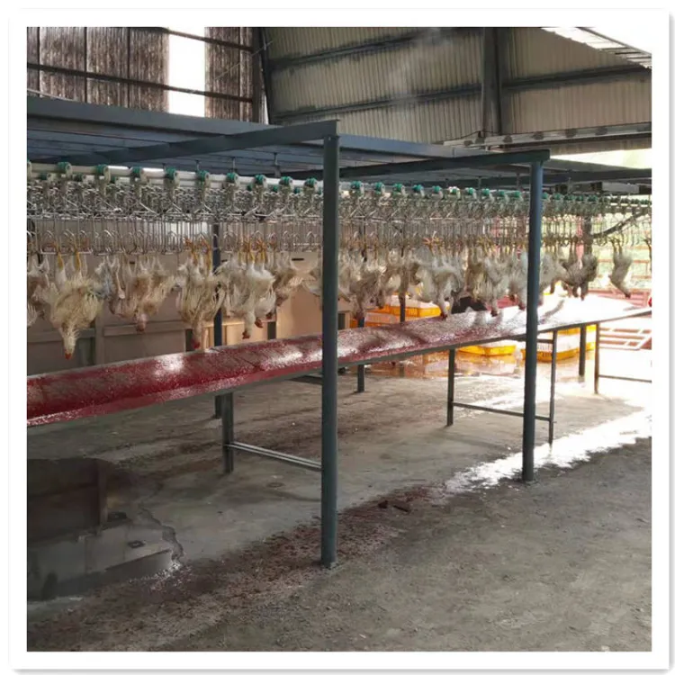 Customized Professional Chicken Feather Plucking Machine Chicken Slaughter Line Poultry Equipment — image 4