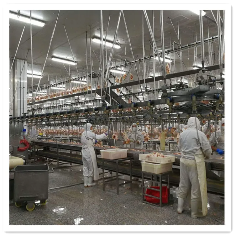 Customized Professional Chicken Feather Plucking Machine Chicken Slaughter Line Poultry Equipment — image 5