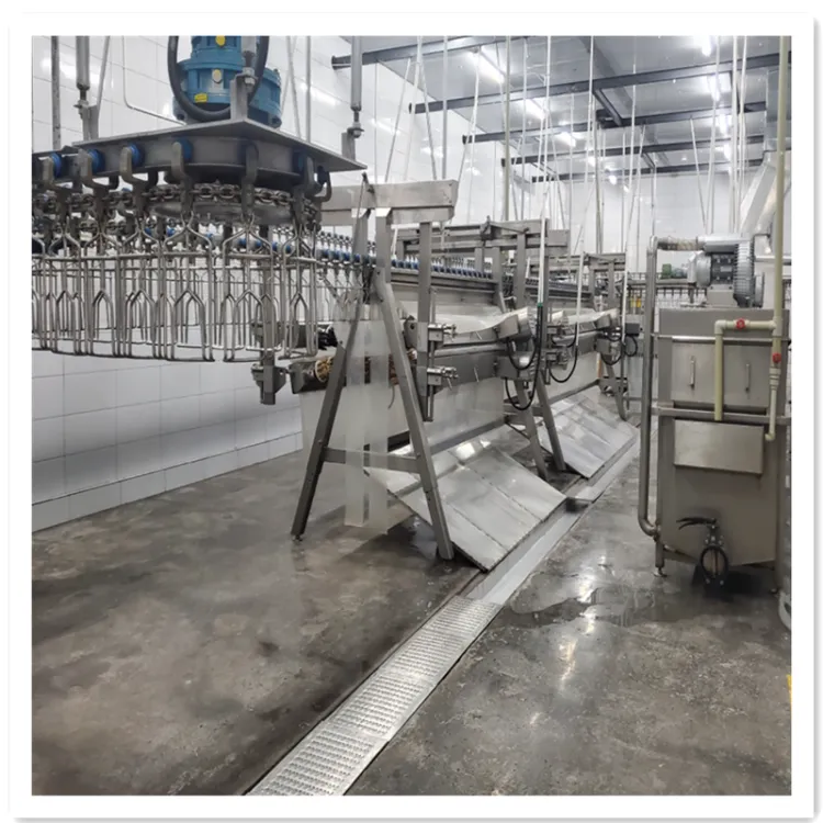 Customized Professional Chicken Feather Plucking Machine Chicken Slaughter Line Poultry Equipment — image 6