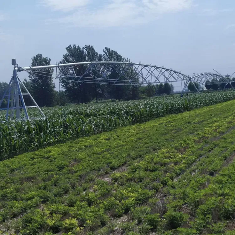 Center Pivot Sprinkler Irrigation System for Farm Agricultural Sprinkler Irrigation Machinery Equipments — image 5