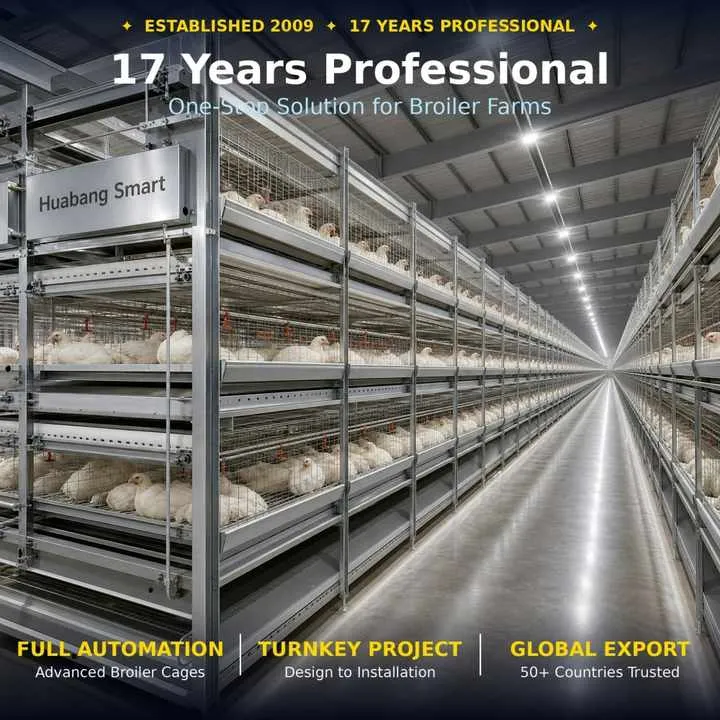 H-Type Automatic Broiler Chicken Cage -Dip Galvanized Poultry Farm Equipment One-Stop Solution with Installation Service — image 7