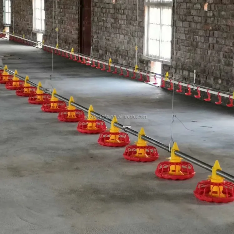 Automatic Poultry Feeding Line for Chicken Farms — image 1
