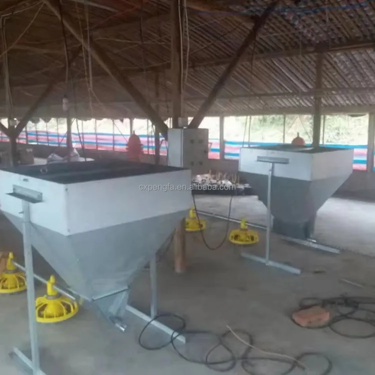 Automatic Poultry Feeding Line for Chicken Farms — image 2