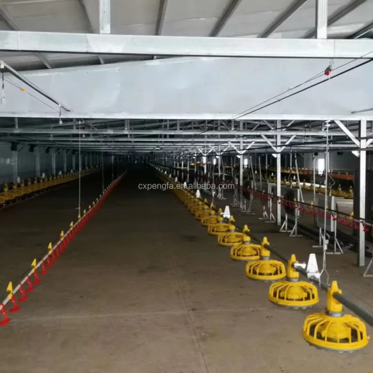 Automatic Poultry Feeding Line for Chicken Farms — image 3