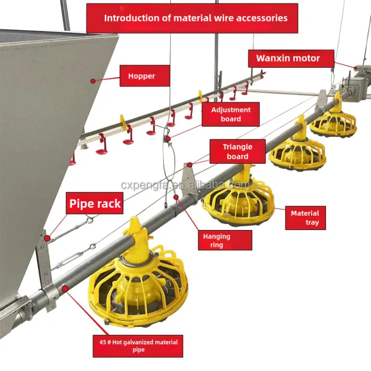 Automatic Poultry Feeding Line for Chicken Farms — image 4