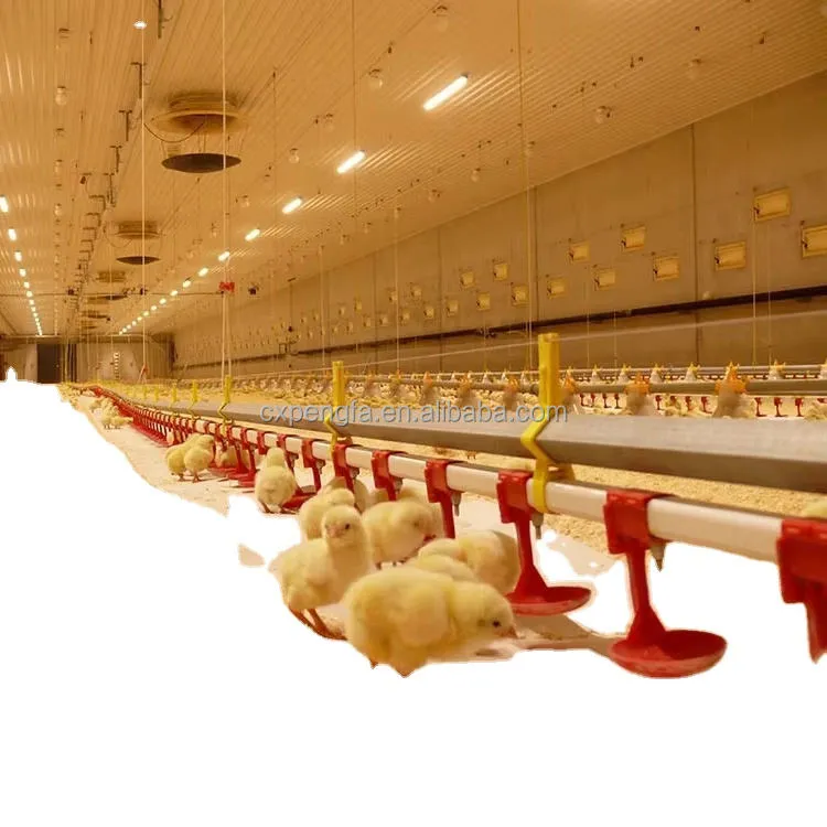 Automatic Poultry Feeding Line for Chicken Farms — image 5