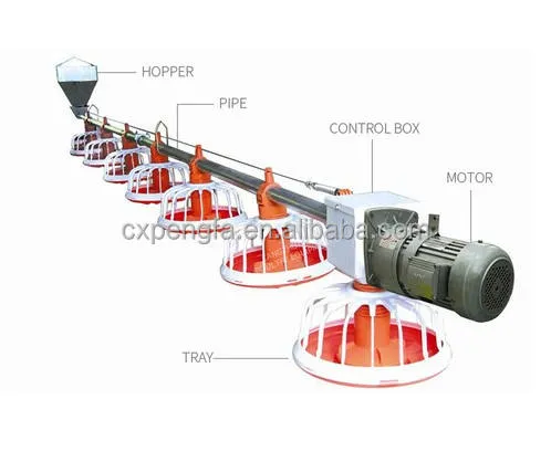 Automatic Poultry Feeding Line for Chicken Farms — image 6