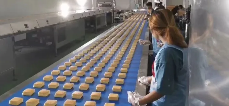 WANLI Group Commercial Automatic Cake Production Line Industrial Bakery Processing Machinery — image 6