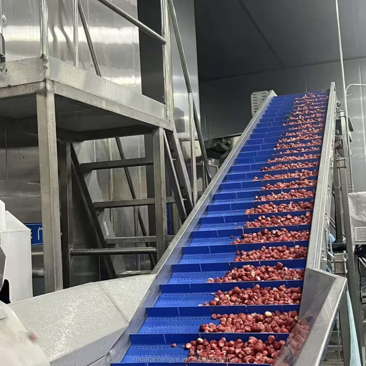 Automatic Frozen Fruit & Vegetable Processing Machines for Fruit Processing Plant-carrot Potato mango Slices Shredding Machine — image 2