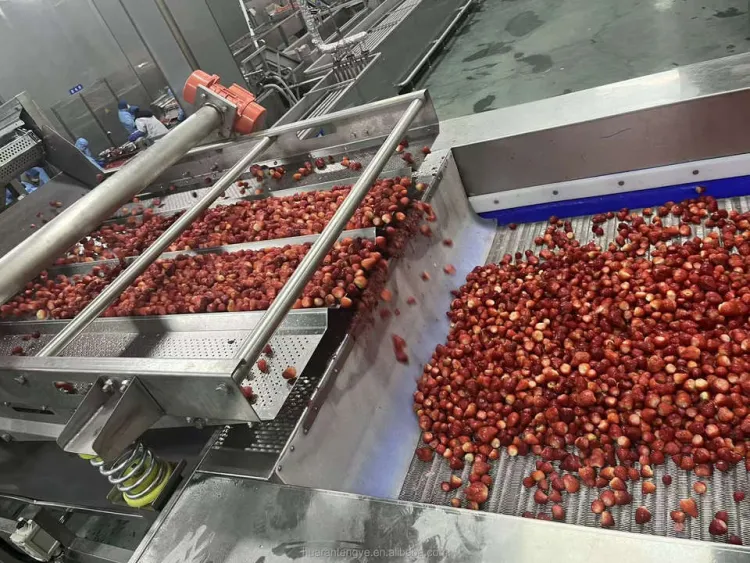 Automatic Frozen Fruit & Vegetable Processing Machines for Fruit Processing Plant-carrot Potato mango Slices Shredding Machine — image 3