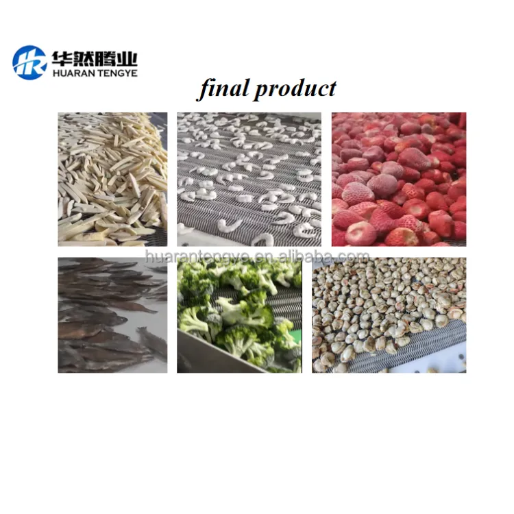 Automatic Frozen Fruit & Vegetable Processing Machines for Fruit Processing Plant-carrot Potato mango Slices Shredding Machine — image 6