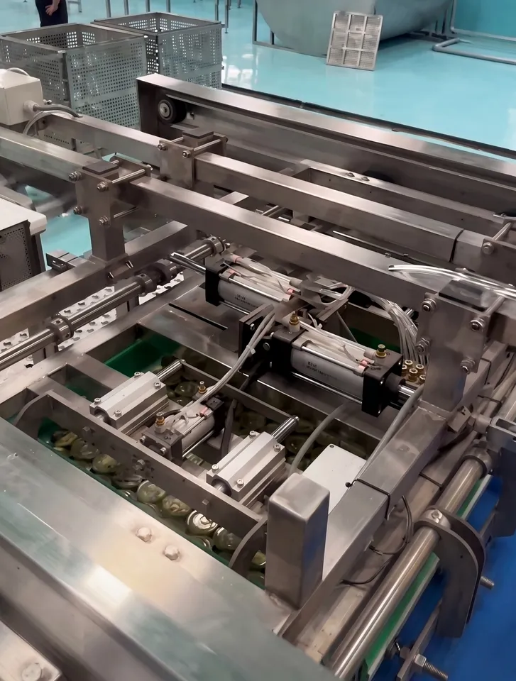 Fully Automatic Ready-to-Eat Vegetable Production Line Includes Intelligent Food Sterilizer for Processing and Packaging — image 8