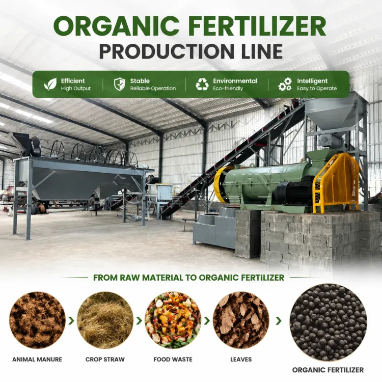 Chicken and Poultry Manure Composting Machine Line Organic Fertilizer Production Plant — image 3