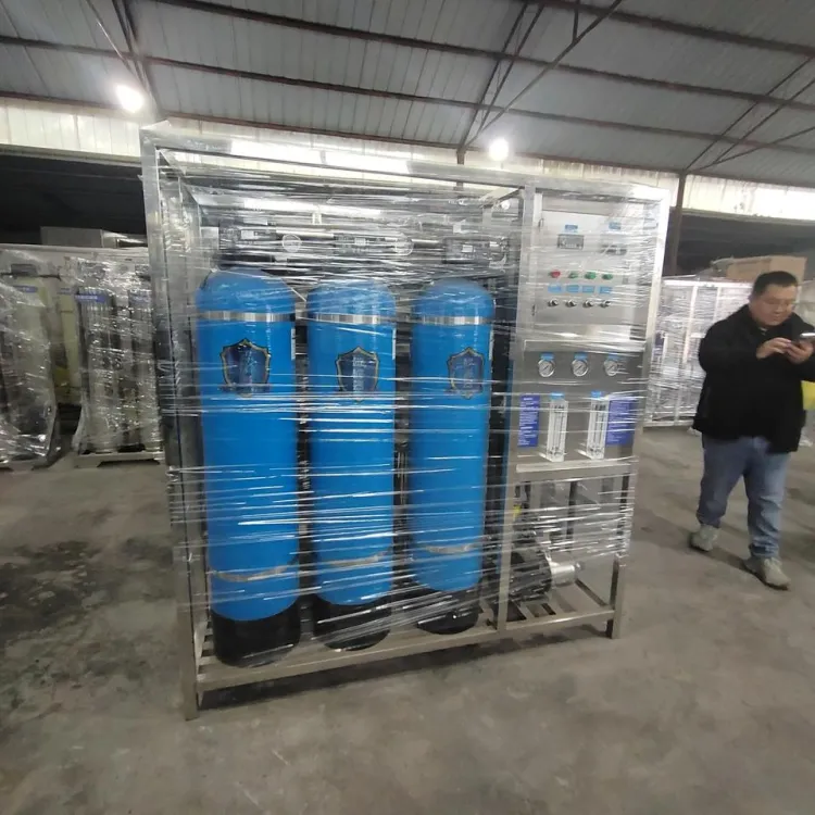 Low 1000L/H Industrial RO Water Treatment System FRP Material PLC Auto Control for & Beverage Plant — image 3