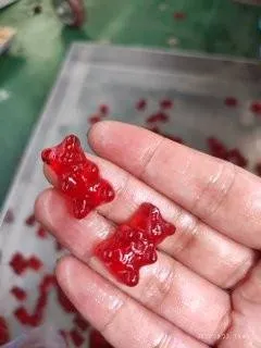 Automatic Gummy Candy Depositing Production Line Candy Machine Servo Gummy Filling Pouring Production Line — image 5