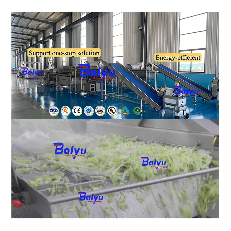 Baiyu Industrial Food Processing Equipment-Fruit and Vegetable Production Line for Cleaning Drying and Sorting — image 2