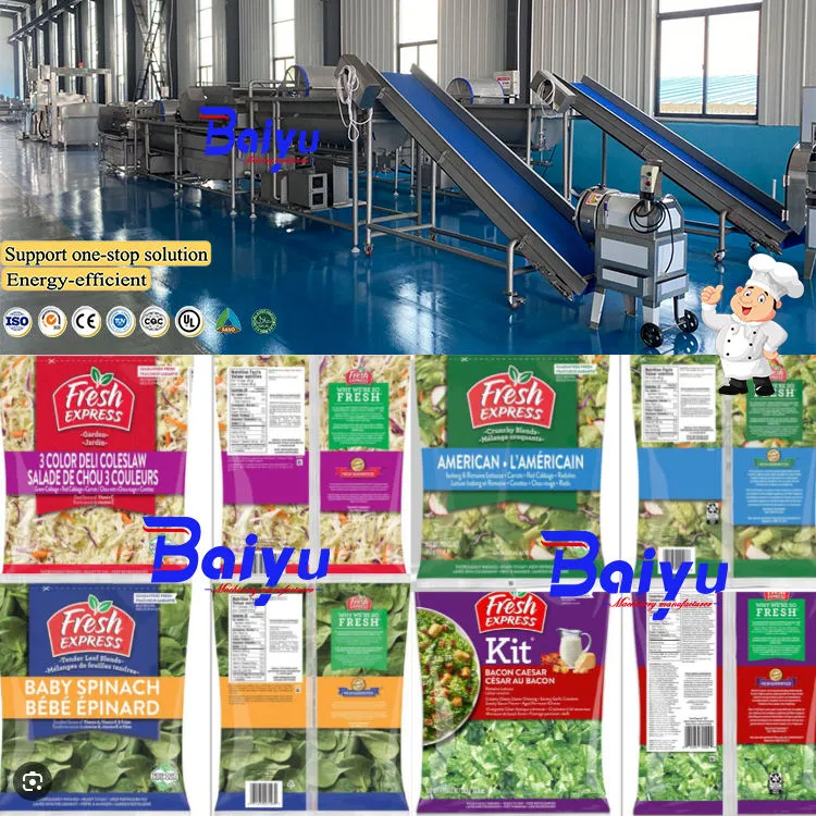 Baiyu Industrial Food Processing Equipment-Fruit and Vegetable Production Line for Cleaning Drying and Sorting — image 3