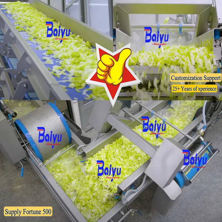 Baiyu Industrial Food Processing Equipment-Fruit and Vegetable Production Line for Cleaning Drying and Sorting — image 4
