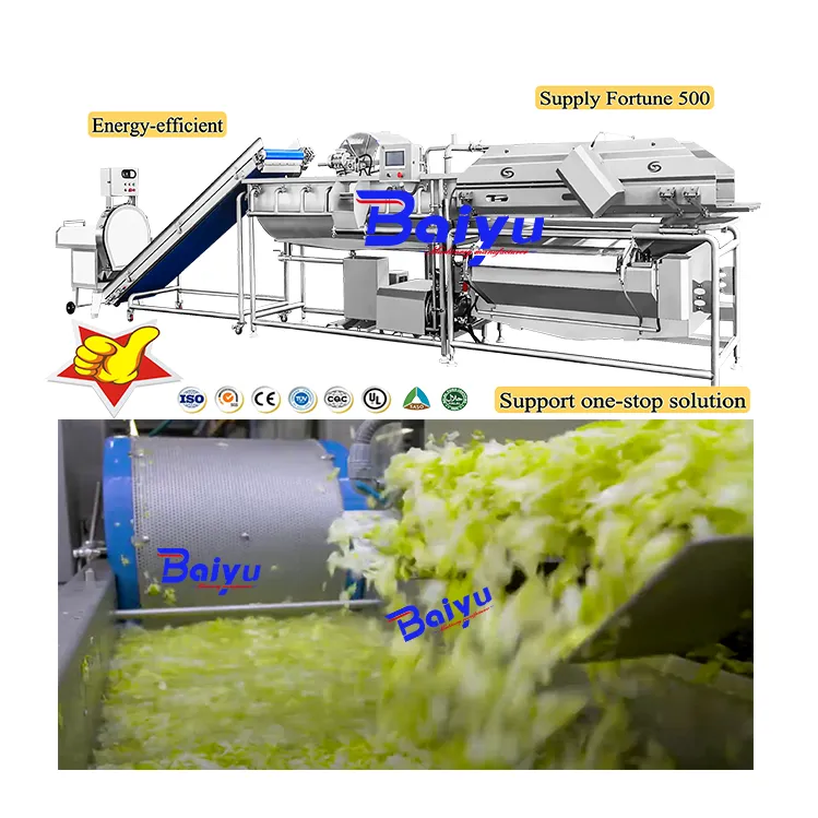Baiyu Industrial Food Processing Equipment-Fruit and Vegetable Production Line for Cleaning Drying and Sorting — image 6