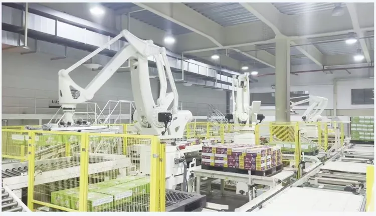 Customizable High-Speed Precise Packaging Production Line PLC/Motor for Asian Manufacturing Hubs Palletizing/Depalletizing — image 4