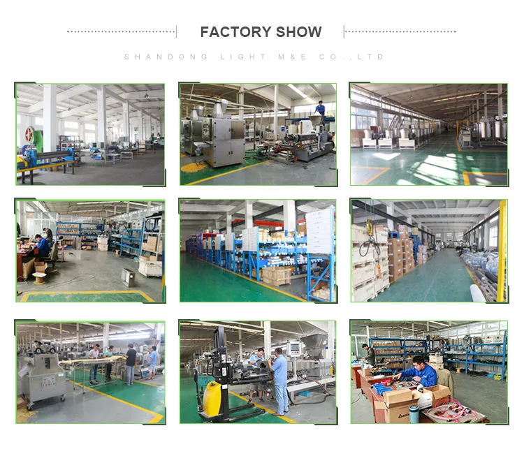 All Automatic Electric Animal Feed Extrusion Processing Machine 200kg/h High Productivity Production Line Plant — image 4