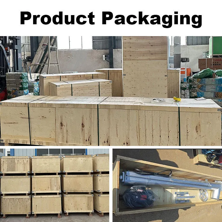 Animal Feed Pellet Production Line 1 Ton Per Hour Poultry Feed Plant SIDIO Machinery One-Stop Turnkey Supplier — image 6