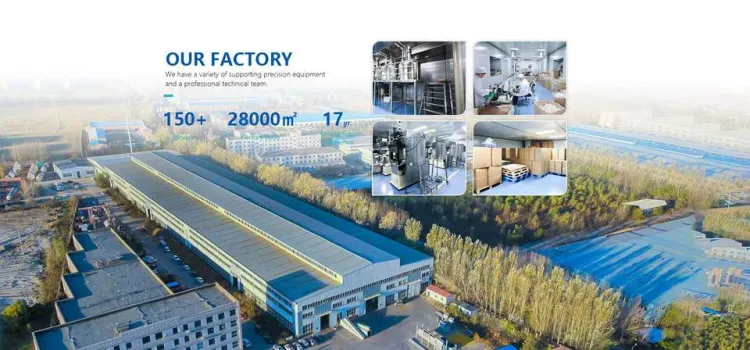 Stable Operation PET Bottle Water Bottling Production Line for Medium Sized Drinking Beverage Plant — image 6