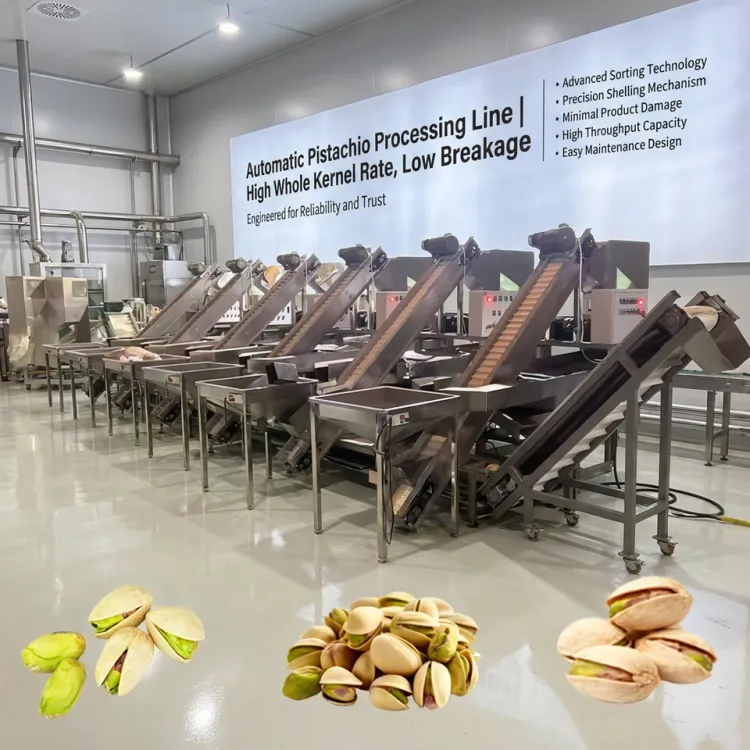 Fully Automatic Turnkey Pistachio Nuts Processing Line Hulling Roasting Sorting Packing Production Equipment — image 2