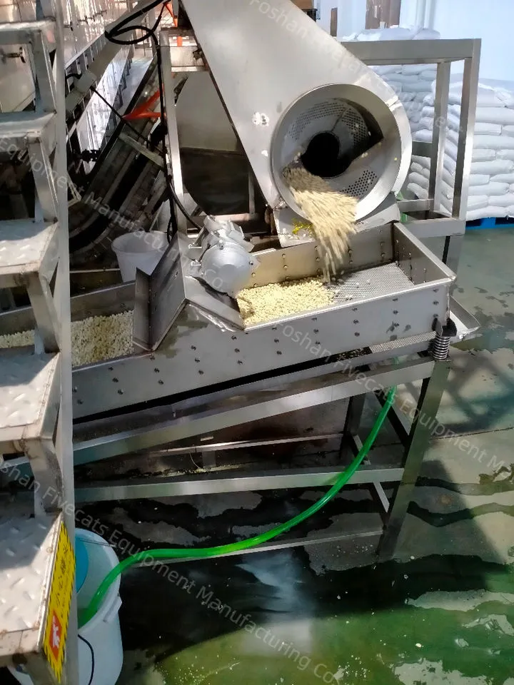 Fully Automatic Turnkey Pistachio Nuts Processing Line Hulling Roasting Sorting Packing Production Equipment — image 3