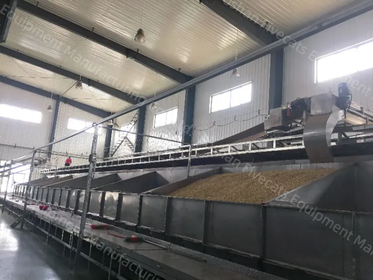 Fully Automatic Turnkey Pistachio Nuts Processing Line Hulling Roasting Sorting Packing Production Equipment — image 6