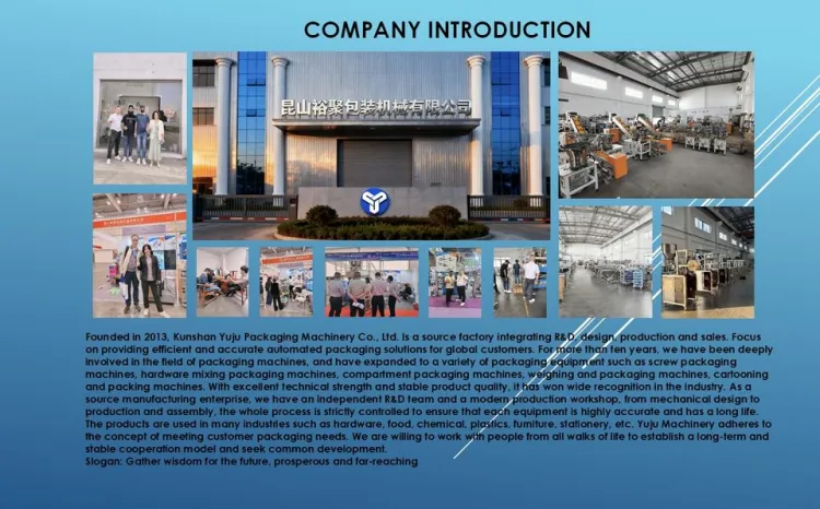 Automatic Hardware Filling Packing Sealing and Carton Loading Production Line with PLC Control — image 4