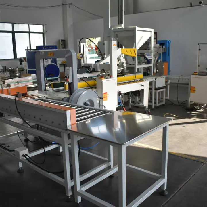 Automatic Hardware Filling Packing Sealing and Carton Loading Production Line with PLC Control — image 5