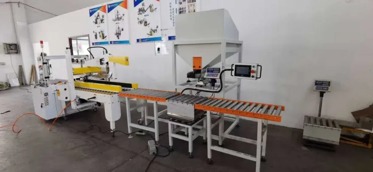 Automatic Hardware Filling Packing Sealing and Carton Loading Production Line with PLC Control — image 6