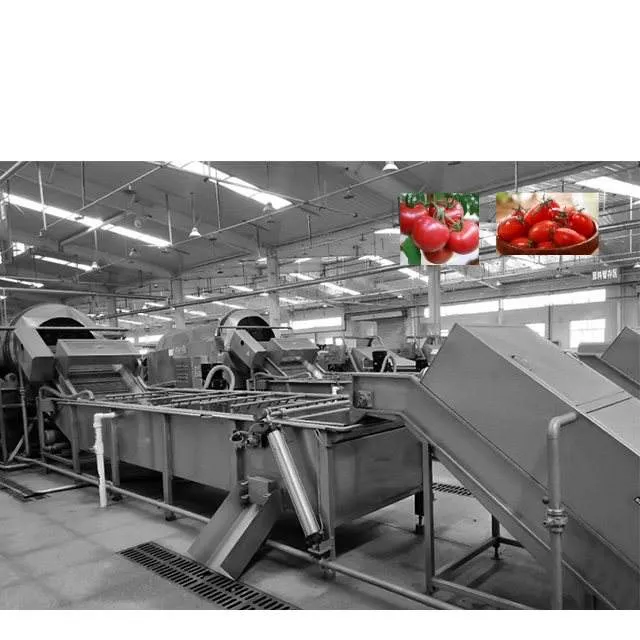 1-20T/H Supply Automatic Tomato Paste & Ketchup Production Plant with PLC Control and SUS304 Material — image 6