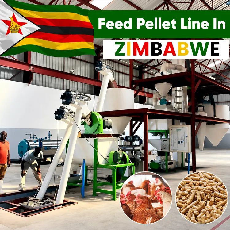 RICHI Soybean Meal Chicken Feed Pellet Plant Production Unit- Automatic Hen Poultry Food Process Line Plant in Zimbabwe — image 1