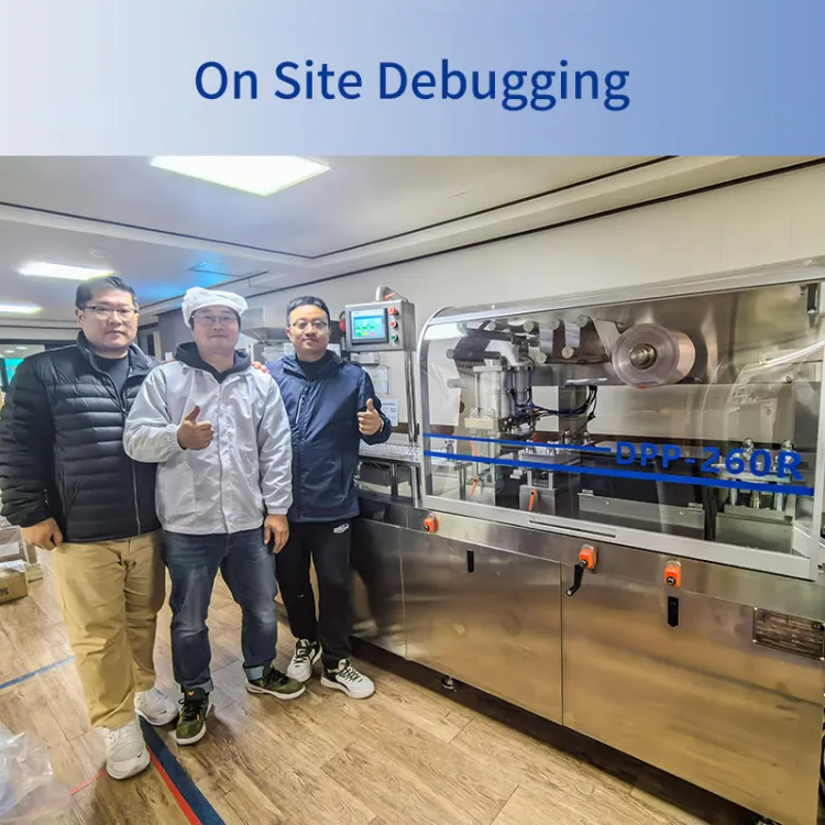DPP-250 Blister Packing Machine Tablet Blister Packing Machine Capsule Blister Packaging Machine — image 5