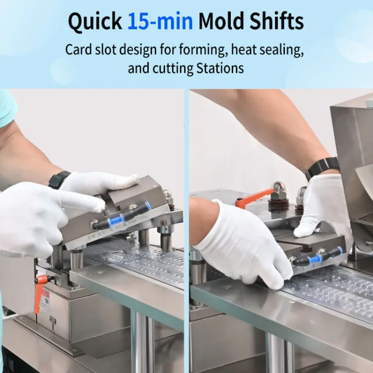 Aluminum Pvc Blister Packing Machine Manufacturer Tablet Pills Blister Machine for Packaging Capsule — image 3