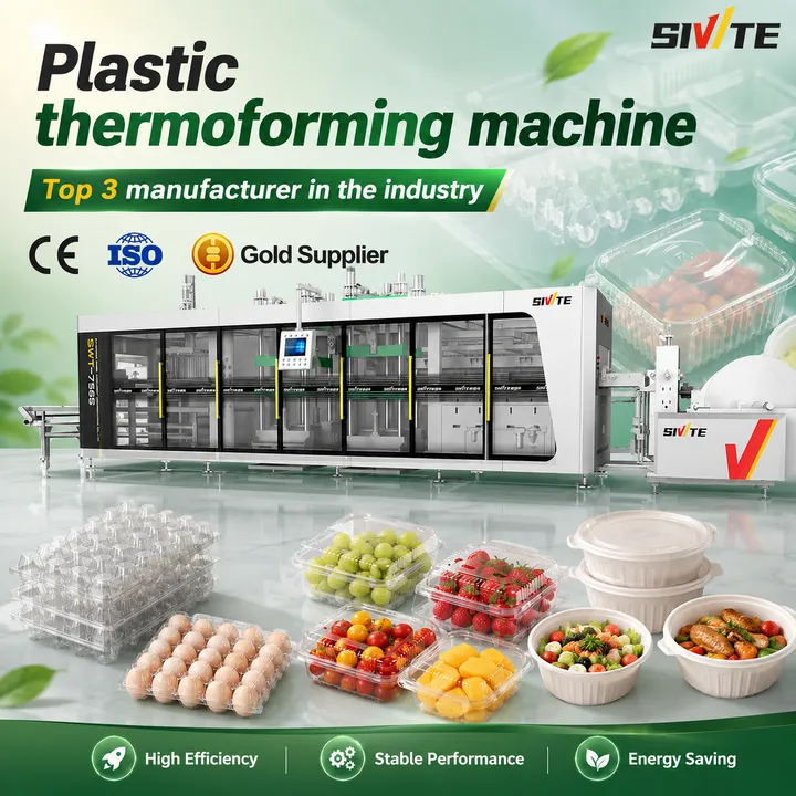 Full Automatic PS/PET/PP Food Container Making Machine Vacuum Forming Equipment High Productivity Disposable Takeaway Box Tray — image 7
